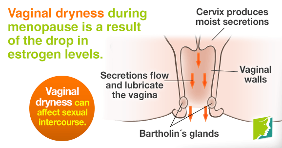 Vaginal Dryness During Intercourse 41